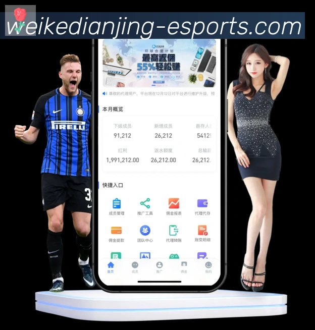vkgame威客电竞服务体系